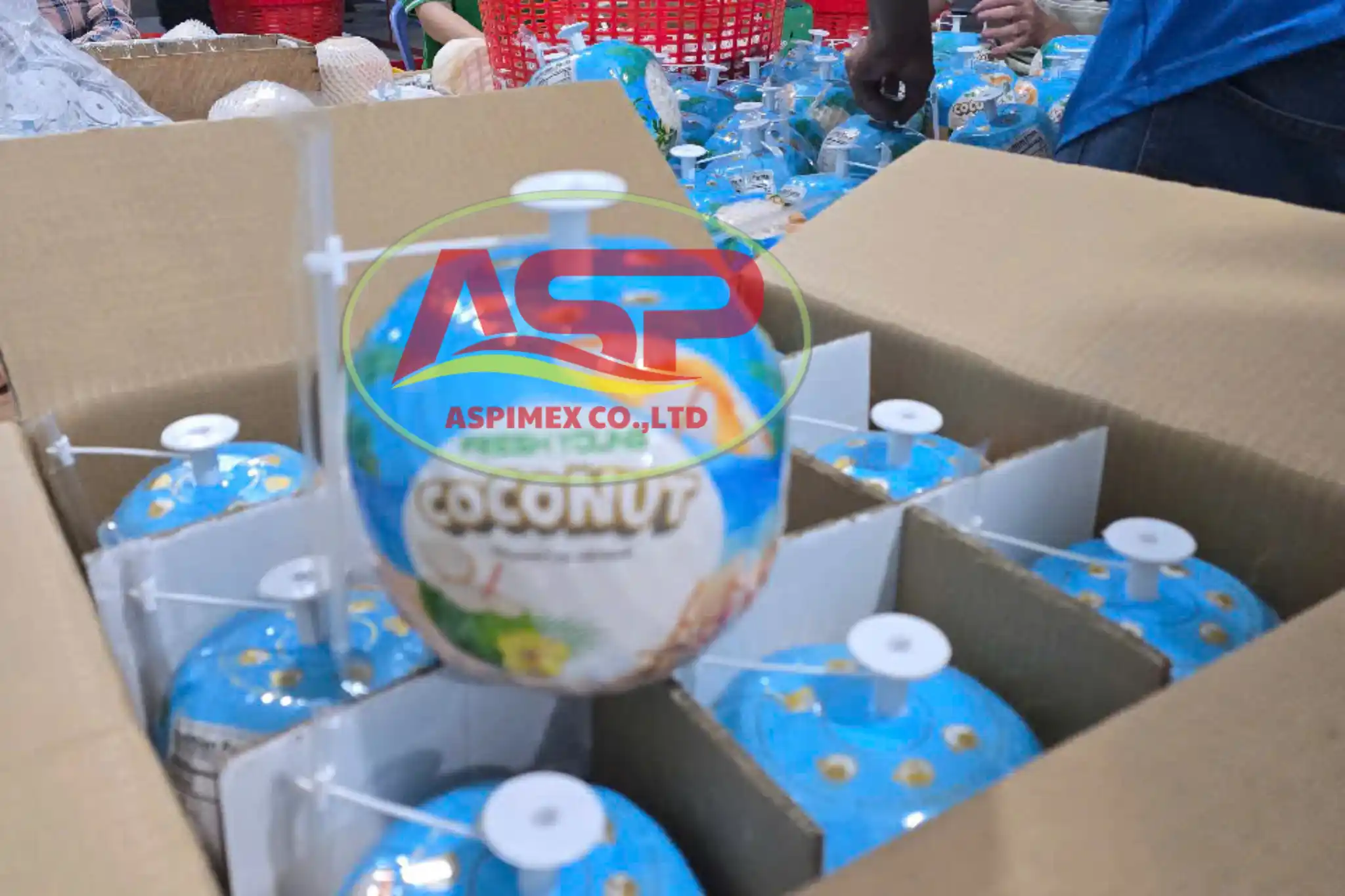 Easy Open Coconut - Image 3