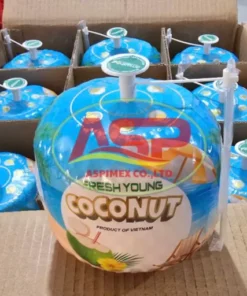 Alternative view of Easy Open Coconut