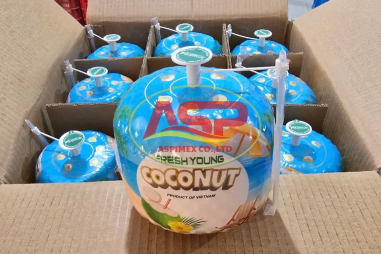 Easy Open Coconut - Image 2