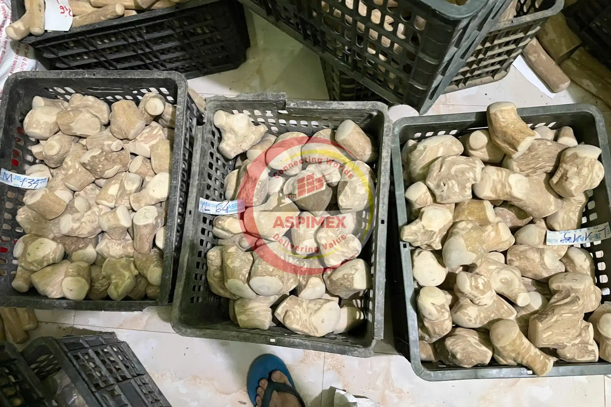 Gorilla Coffee Wood Dog Chew - Image 4